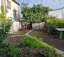 Для семьи с детьми