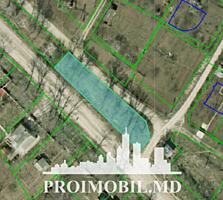 Spre vânzare se oferă teren pomicol, situat în Dumbrava.Suprafața ...