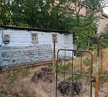 Предлагается к продаже участок в Лесках на улице Морская. Общая ...