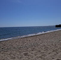 29 соток на побережье Черного моря Дача Ковалевского, прямой вид на ..