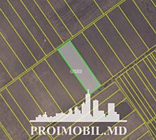 S pre vânzare se oferă teren agricol, situat în Colonița. Suprafața ..