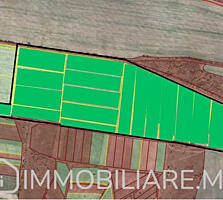 Teren agricol, loc. Zubrești, r-nul Strășeni Vă propunem spre vânzare 