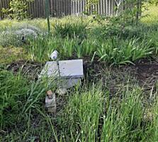 В продаже дачный участок общей площадью 5 соток. Участок находится в .