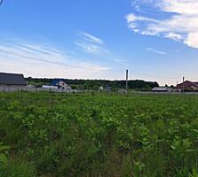 Земля, ожидающая своего дома16,3 сотки гармонии в Новоселках, всего ..