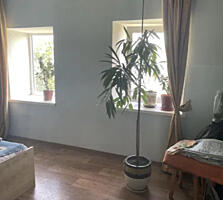 Продам 2 дома в с. Кубанка