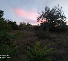 Предлагается участок в дали от городской суеты на берегу ...