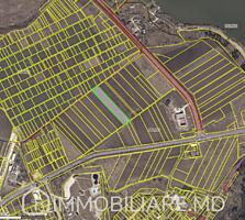 Teren agricol, com. Dănceni, r-nul Ialoveni Vă propunem spre vânzare .