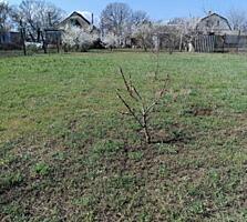 Продается просторный дом в Овидиополе с прекрасным видом на лиман. ...