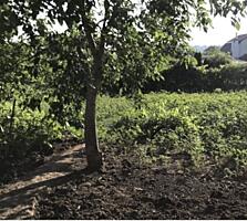 В продаже участок в Новой Дофиновке. Участок 7,7 соток земли ...