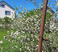 Пригород Одессы пгт Хлебодарское участок