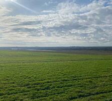 В продаже участок вблизи Сухого Лимана. До лимана 5 минут. Чудесный ..