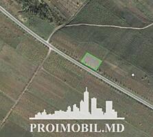 Spre vânzare se oferă oferă teren agricol în r. Ialoveni, șos. ...