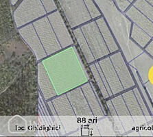 Teren agricol, com. Ghidighici Vă propunem spre vânzare un teren ...