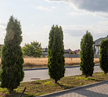 Продажа участка в Совиньоне, 21 массив.