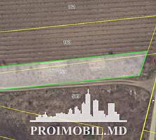 S pre vânzare se oferă teren cu destinație agricolă, situat în ...