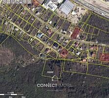 IP Apicultorul, Sculeanca, Chișinău