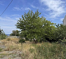 Продам два смежных участка общей площадью 13 соток в Аркадии. 5 минут 