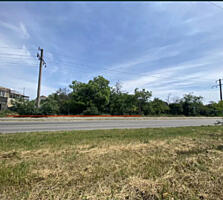 Продам 6 соток Зеленый гай/Совиньон