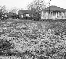 Дом в Купчинь