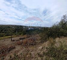 Oportunitate Excelenta în Singera, Extravilan – Lot de Pomicol -6 Ari