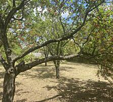 LOT LA DOAR 5 KM. DE LA CHISINAU URGENT!