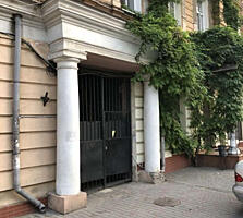 Бельгийка в Центре города