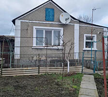 Продам два дома на одном участке в р-не п.Большевик