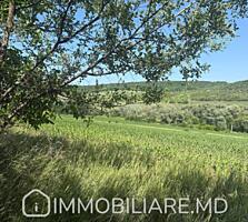 Teren agricol, com. Grătiești (extravilan) Vă propunem spre vânzare ..