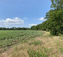 Предлагаемый к продаже земельный участок №16. Общей площадью 1,6015 ..