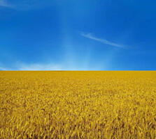 Продажа земельного участка площадью 6,7857 га.