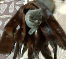 Горжетки норковые новые, шапки норковые новая и б/у