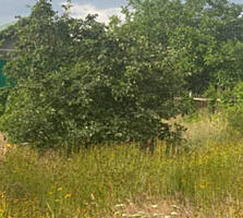 Продается земельный участок по жилой улице, рядом с парком &amp;quot;Н