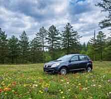 Dacia Sandero. Мотор 1,6 бензин, механика. Год выпуска 2010.