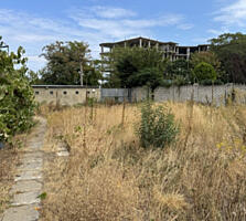 Участок 13 соток в Аркадии