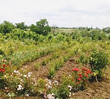 Продам дом в Онисково. Дом полностью под реконструкцию. Расположен на 