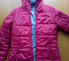 Scurta SISLEV ITALIA