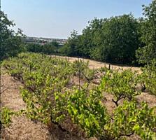 ОДНОЭТАЖНЫЙ ДОМ с. ДАЧНОЕ 17 СОТОК