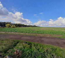 Предлагается к продаже отличный участок площадью 6 соток в ...