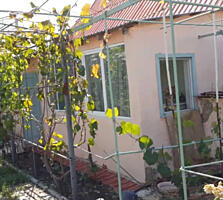 Продам дом с баней в с.Новоукраинка (Раздельнянский р-н, 55 км от ...