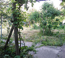 Участок 15 соток на ст. Усатово.