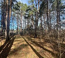 БЕЗ КОМІСІЇ ! Продаж земельної ділянки під житлову забудову в Глевасі 