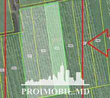 Spre vânzare se oferă teren agricol, situat în Criuleni, satul ...