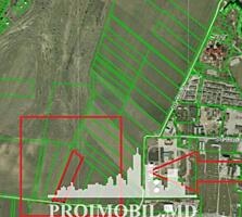 Spre vînzare se oferă teren agricol, situat încom. ...