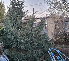 Дом на участке 5,14 соток Д.Ковалевского