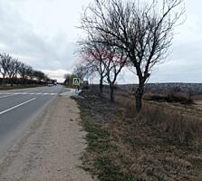 Teren Agricol 277 Ari – Locație Strategică, aproape de Grand Elysee, S