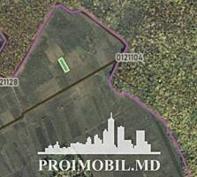 Spre vânzare se oferă teren pentru construcții, situat în Dumbrava. ..