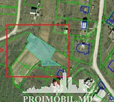 Spre vînzare se oferă 2 terenuri alăturate cu destinațiapentru ...