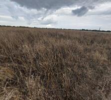 Продаётся участок в Фонтанке правильной формы в престижном районе. ...