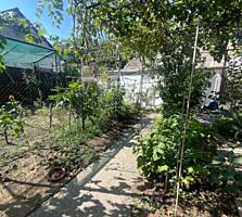 Дом в уютном и тихом районе