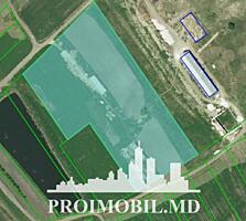 ​ Spre vânzare se oferă teren agricol situat în Ialoveni, satul ...